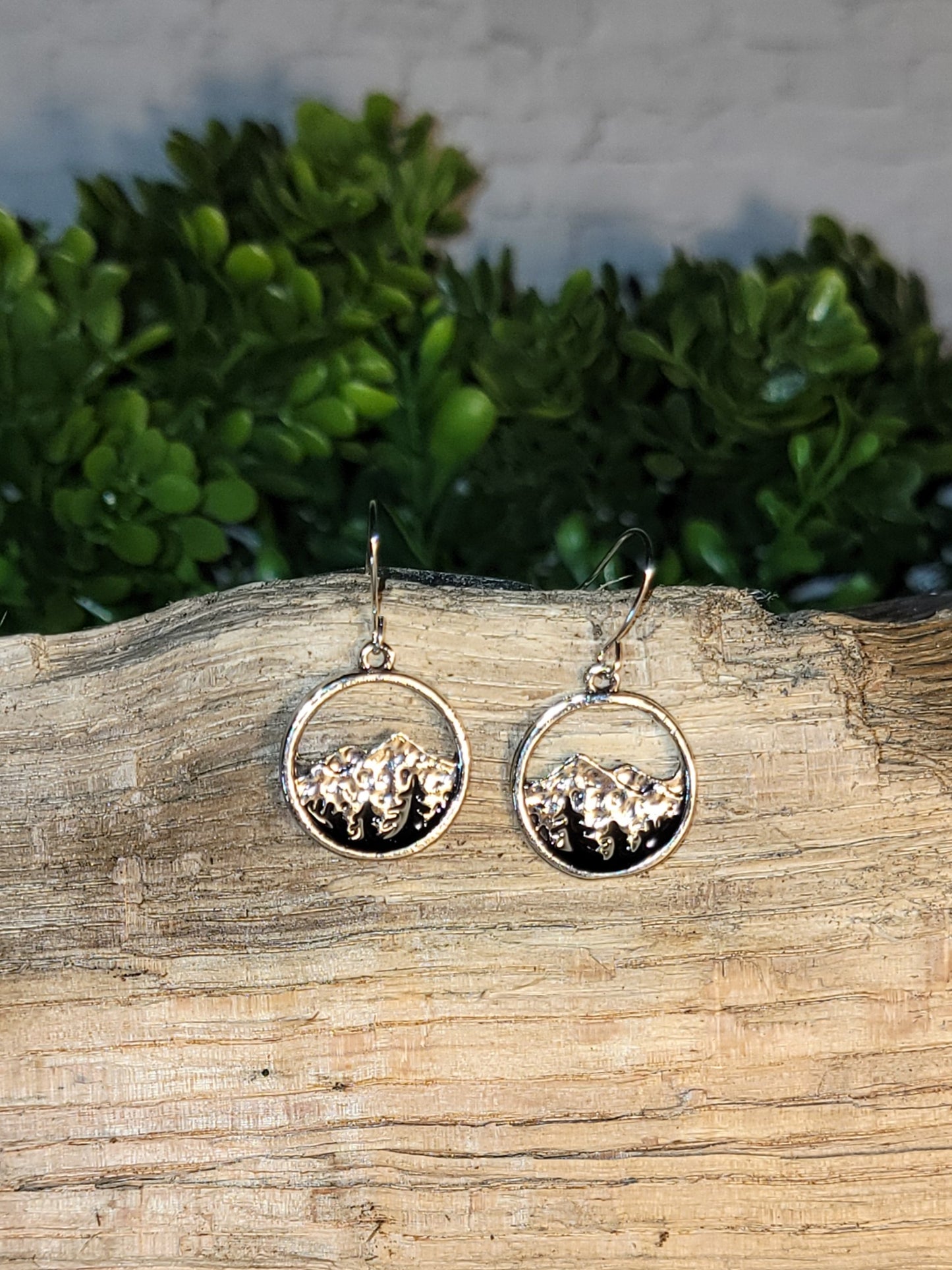 Mountain Circle Dangle Earrings