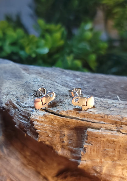 Baby Elephant Silver Stud Earrings