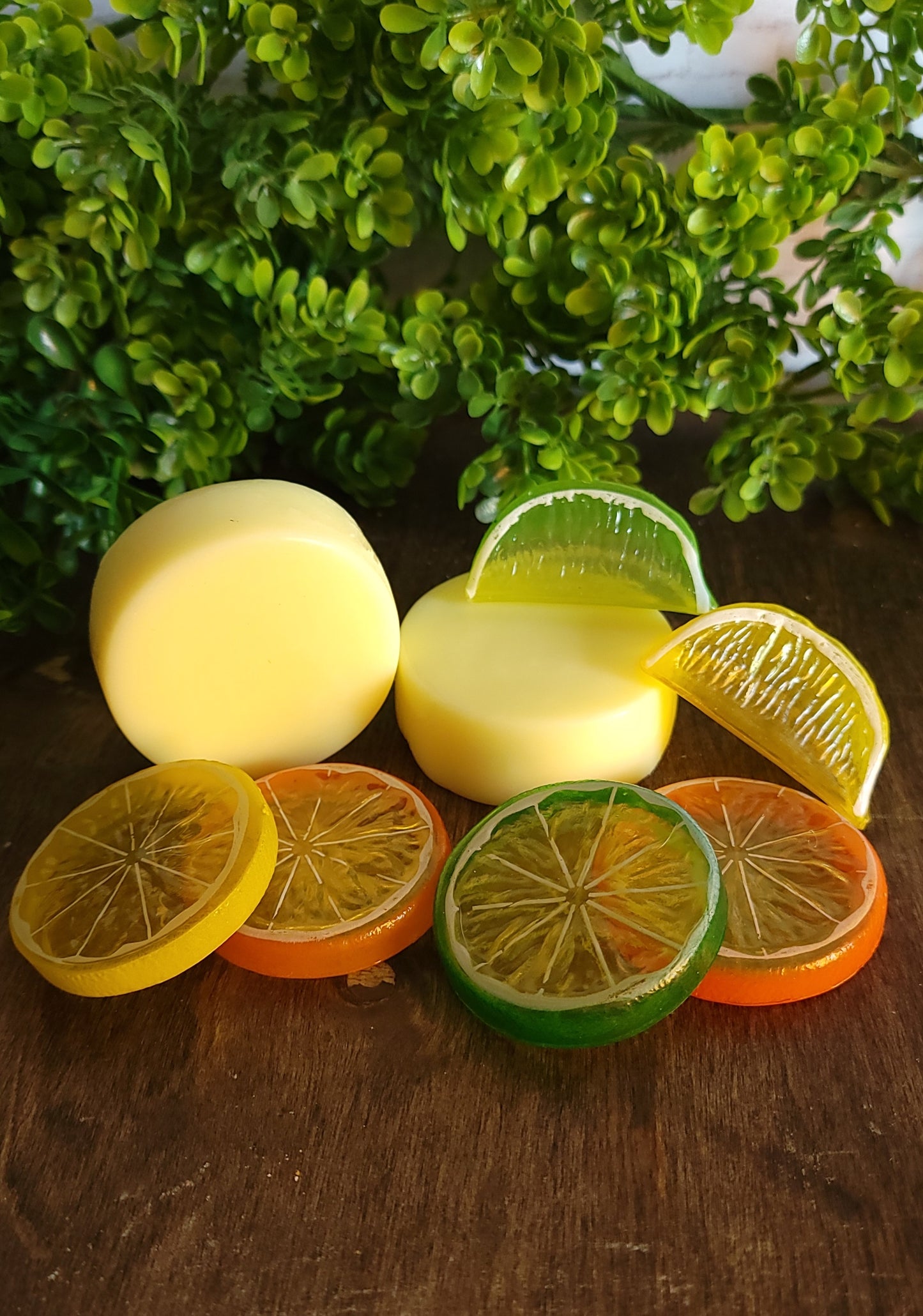 Grove Fresh Conditioner Bar