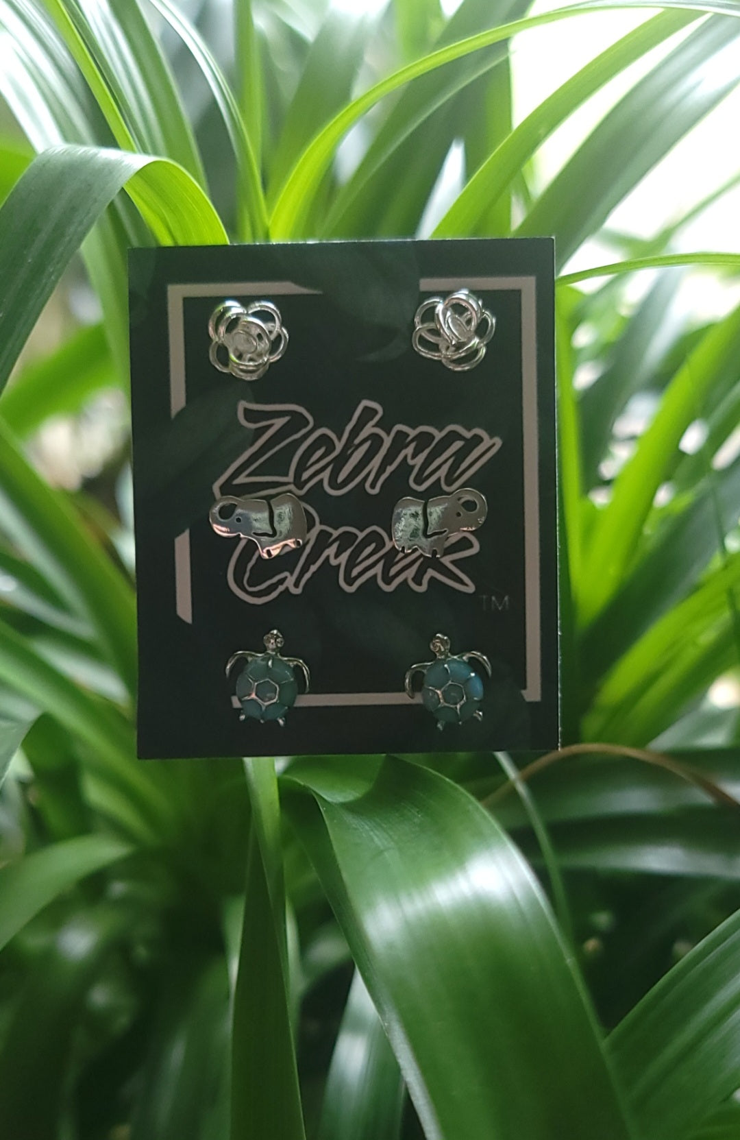 3 Pack of Earrings